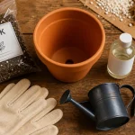Engrais plantes d intérieur : dosage et format pour éviter de brûler les racines